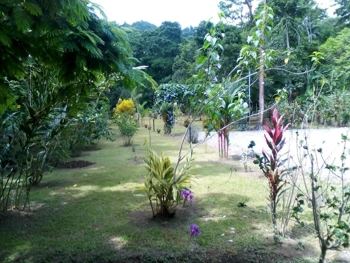 Puerto Vargas Lodge Cahuita Zewnętrze zdjęcie
